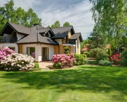 Backyard Landscaping